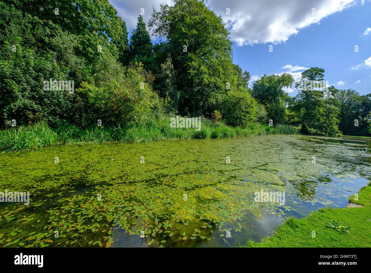 Hemingbrough Pond Temple newsam park leeds hi-res stock photography and images - Alamy