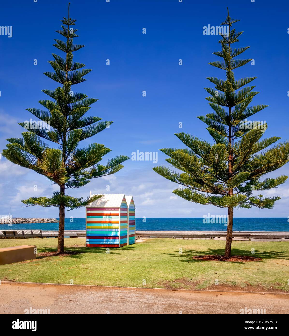 Fremantle, WA, Australia -  Bathing huts and Norfolk Pine trees on Bathers Beach Stock Photo