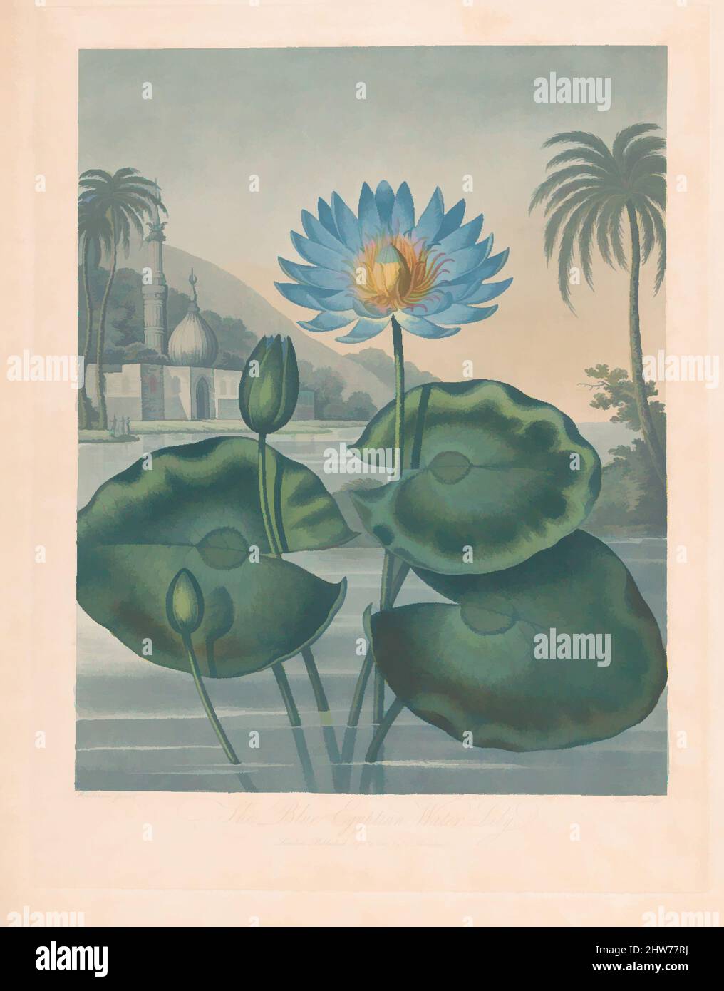 Art inspired by The Blue Egyptian Water Lily, from 'The Temple of Flora, or Garden of Nature', September 11, 1804, Aquatint and stipple engraving printed in colors with hand coloring, Image: 17 1/8 x 14 in. (43.5 x 35.6 cm), Prints, After Peter Charles Henderson (British, active 1791–, Classic works modernized by Artotop with a splash of modernity. Shapes, color and value, eye-catching visual impact on art. Emotions through freedom of artworks in a contemporary way. A timeless message pursuing a wildly creative new direction. Artists turning to the digital medium and creating the Artotop NFT Stock Photo