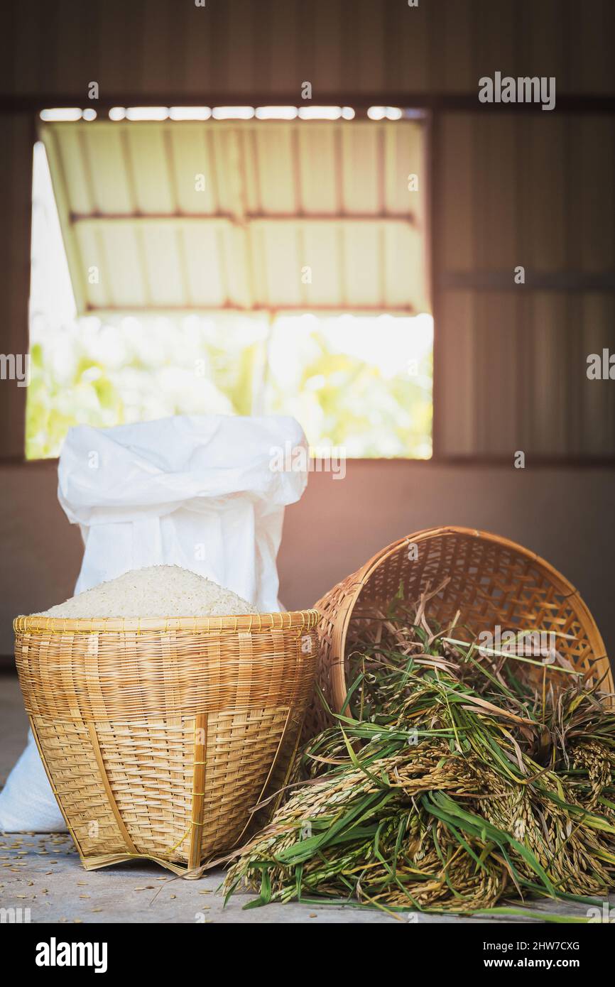 Basket Rice Tere Thai organic raw jasmine rice in bamboo basket Stock Photo - Alamy