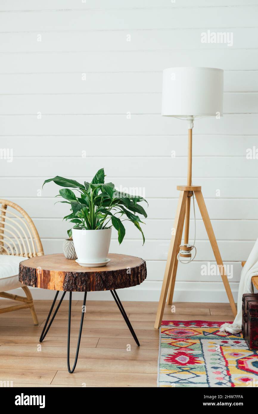 Rattan armchair and floor lamp in living room interior with plants. Cozy  interior in boho style. Real photo Stock Photo - Alamy