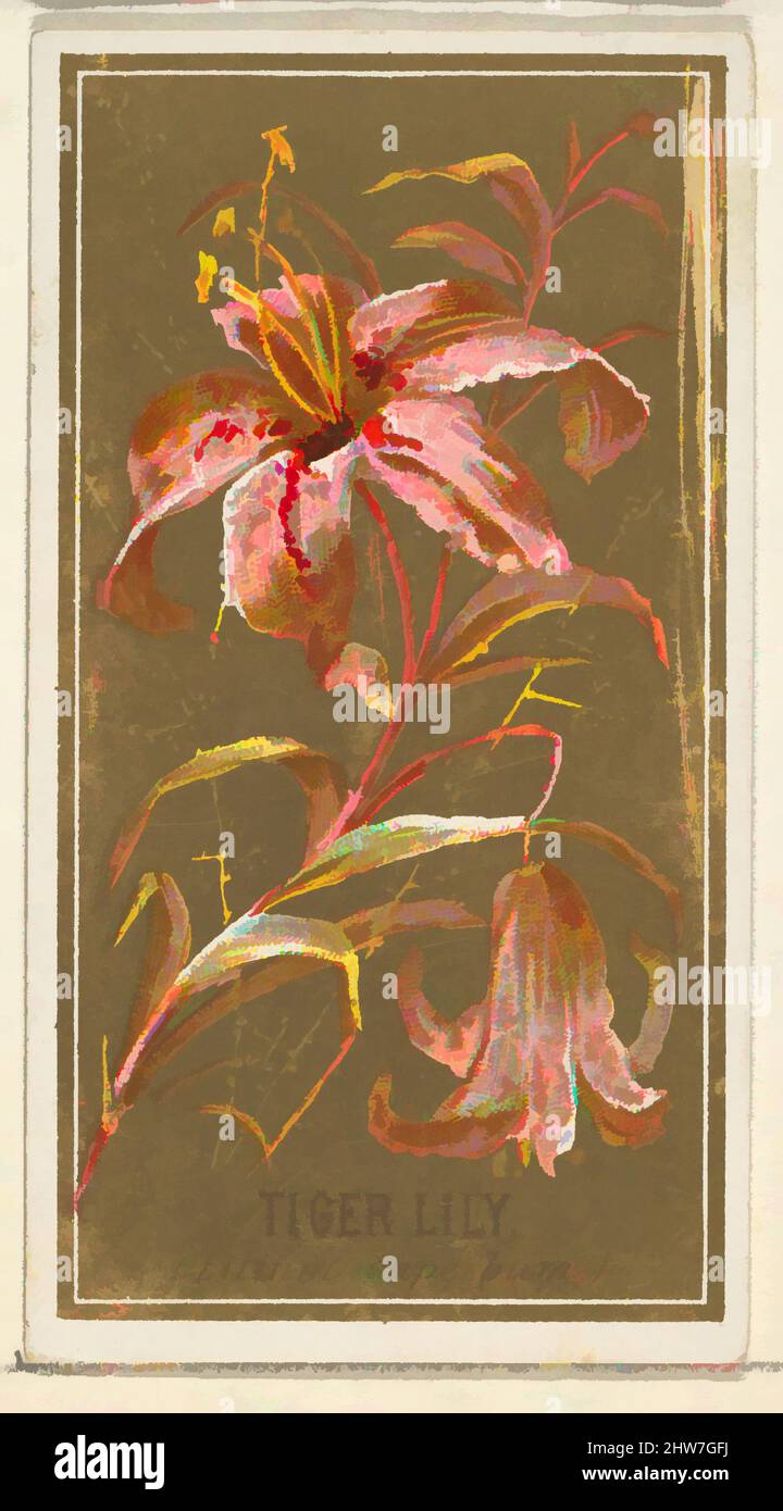 Art inspired by Tiger Lily (Lilium superbum), from the Flowers series for Old Judge Cigarettes, 1890, Commercial color lithograph, sheet: 2 3/4 x 1 1/2 in. (7 x 3.8 cm), The 'Flowers' series of trading cards (N164) was issued by Goodwin & Company in 1890 to promote Old Judge Cigarettes, Classic works modernized by Artotop with a splash of modernity. Shapes, color and value, eye-catching visual impact on art. Emotions through freedom of artworks in a contemporary way. A timeless message pursuing a wildly creative new direction. Artists turning to the digital medium and creating the Artotop NFT Stock Photo