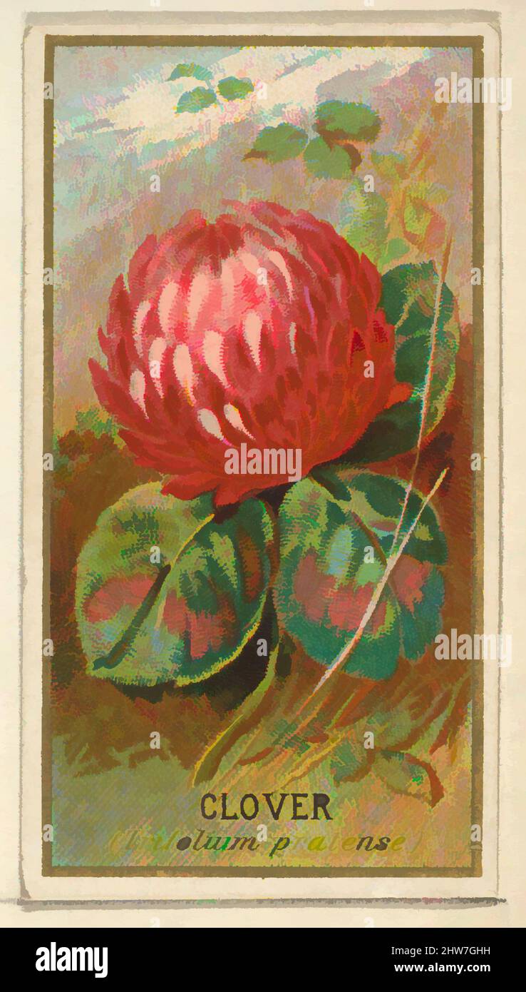 Art inspired by Clover (Trifolium pratense), from the Flowers series for Old Judge Cigarettes, 1890, Commercial color lithograph, sheet: 2 3/4 x 1 1/2 in. (7 x 3.8 cm), The 'Flowers' series of trading cards (N164) was issued by Goodwin & Company in 1890 to promote Old Judge Cigarettes, Classic works modernized by Artotop with a splash of modernity. Shapes, color and value, eye-catching visual impact on art. Emotions through freedom of artworks in a contemporary way. A timeless message pursuing a wildly creative new direction. Artists turning to the digital medium and creating the Artotop NFT Stock Photo