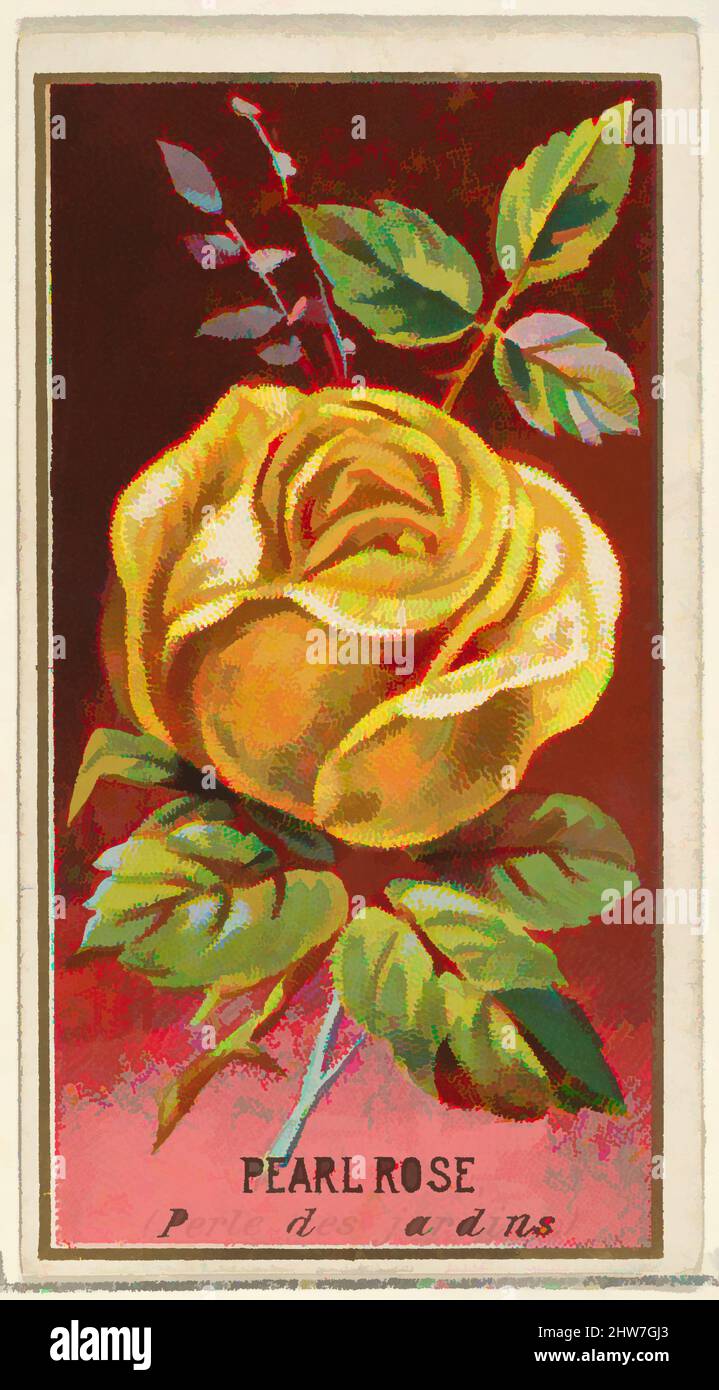 Art inspired by Pearl Rose (Perle des jardins), from the Flowers series for Old Judge Cigarettes, 1890, Commercial color lithograph, sheet: 2 3/4 x 1 1/2 in. (7 x 3.8 cm), The 'Flowers' series of trading cards (N164) was issued by Goodwin & Company in 1890 to promote Old Judge, Classic works modernized by Artotop with a splash of modernity. Shapes, color and value, eye-catching visual impact on art. Emotions through freedom of artworks in a contemporary way. A timeless message pursuing a wildly creative new direction. Artists turning to the digital medium and creating the Artotop NFT Stock Photo