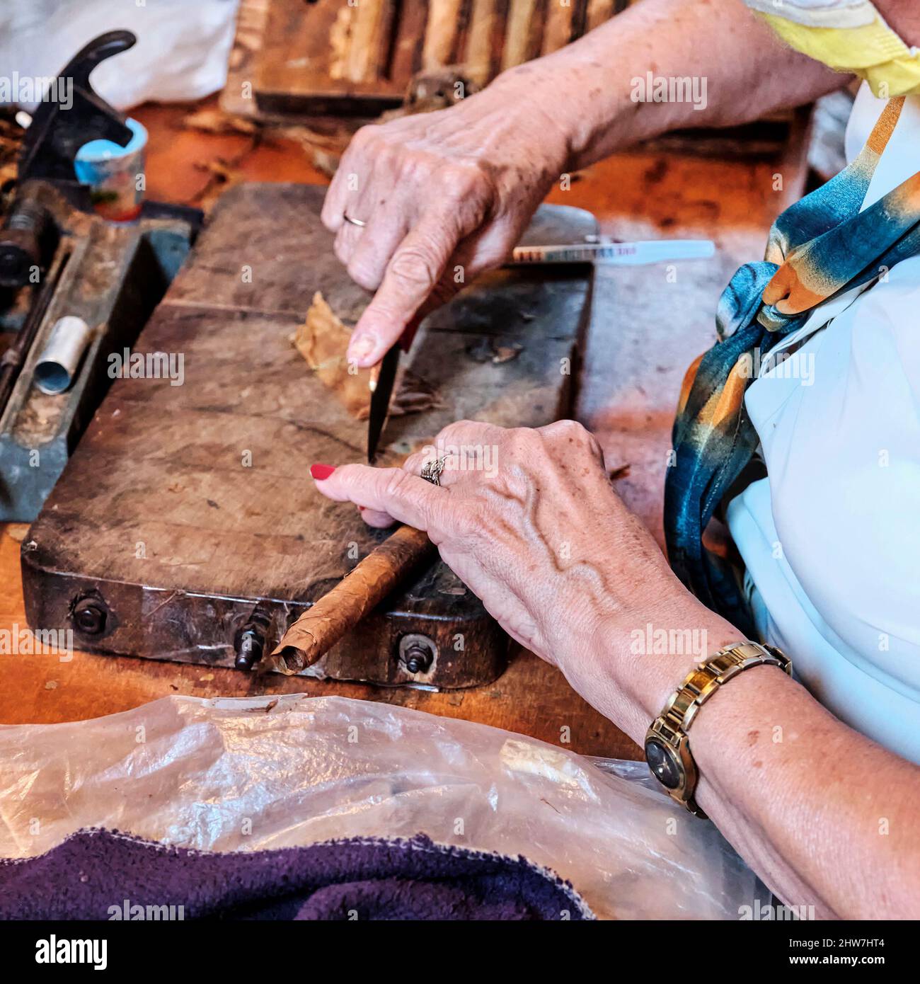 Hands of older woman making Cuban cigar from tobacco leaves. Stock Photo