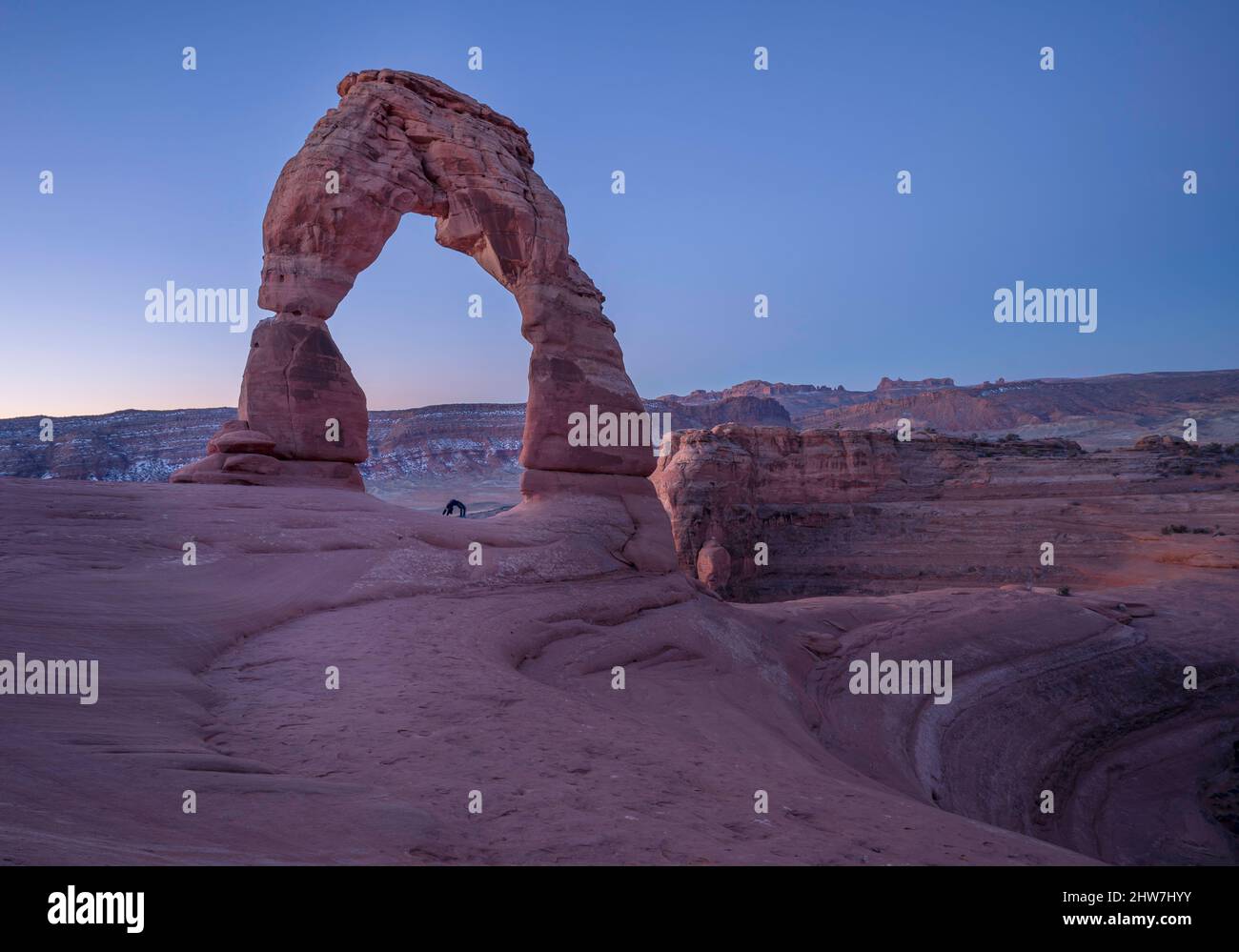 Delicate pose hi-res stock photography and images - Alamy