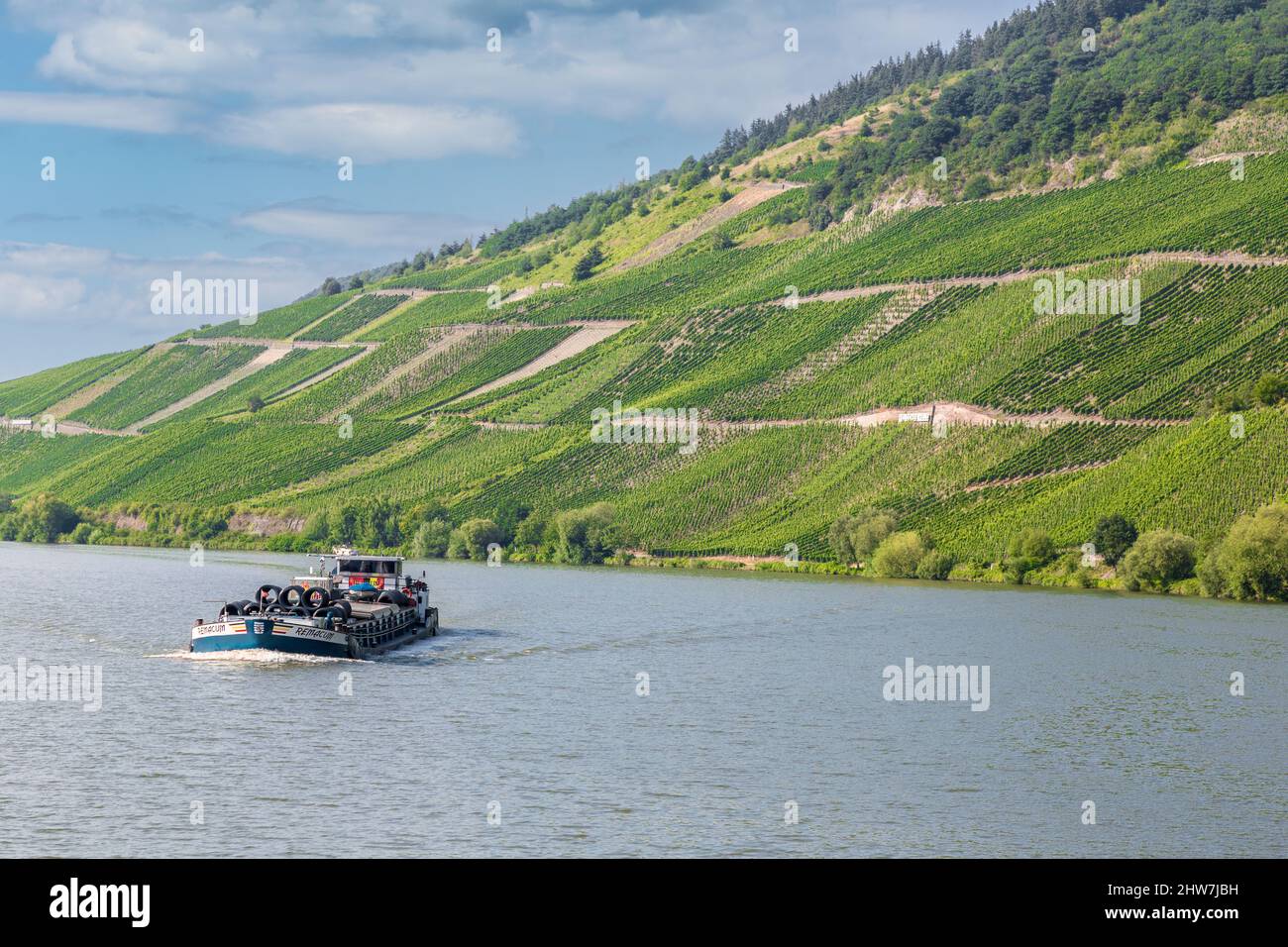 Germany.  Vineyards on Steep Hillsides along the Moselle River near Mehring. Stock Photo