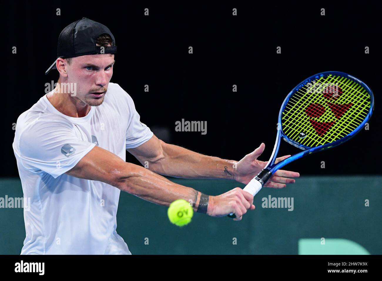 2025 Davis Cup Qualifying Round Wynny Karolina