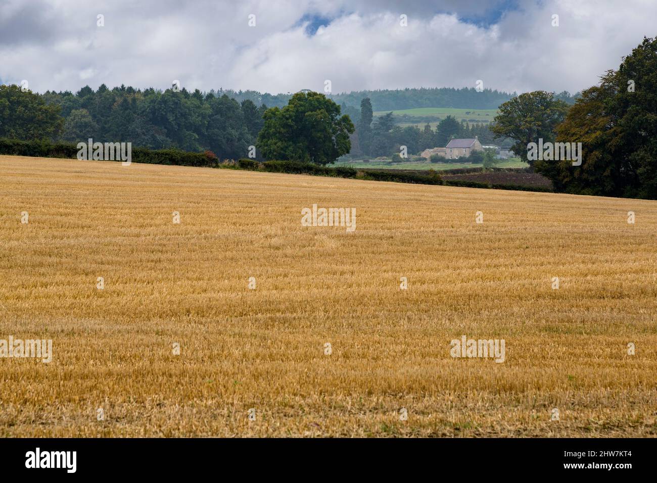 UK, England, Yorkshire.  Scenic Farmland, House in Distance. Stock Photo