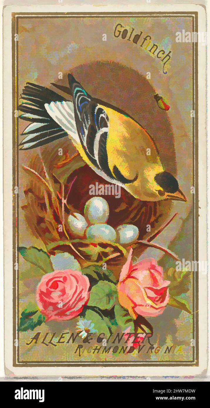 Art inspired by Goldfinch, from the Birds of America series (N4) for Allen & Ginter Cigarettes Brands, 1888, Commercial color lithograph, Sheet: 2 3/4 x 1 1/2 in. (7 x 3.8 cm), Trade cards from the 'Birds of America' series (N4), issued in 1888 in a series of 50 cards to promote Allen, Classic works modernized by Artotop with a splash of modernity. Shapes, color and value, eye-catching visual impact on art. Emotions through freedom of artworks in a contemporary way. A timeless message pursuing a wildly creative new direction. Artists turning to the digital medium and creating the Artotop NFT Stock Photo