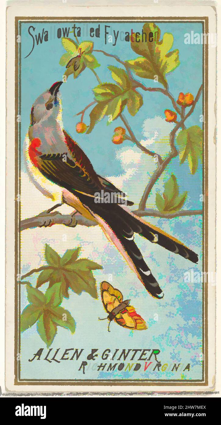 Art inspired by Swallow-tailed Flycatcher, from the Birds of America series (N4) for Allen & Ginter Cigarettes Brands, 1888, Commercial color lithograph, Sheet: 2 3/4 x 1 1/2 in. (7 x 3.8 cm), Trade cards from the 'Birds of America' series (N4), issued in 1888 in a series of 50 cards, Classic works modernized by Artotop with a splash of modernity. Shapes, color and value, eye-catching visual impact on art. Emotions through freedom of artworks in a contemporary way. A timeless message pursuing a wildly creative new direction. Artists turning to the digital medium and creating the Artotop NFT Stock Photo