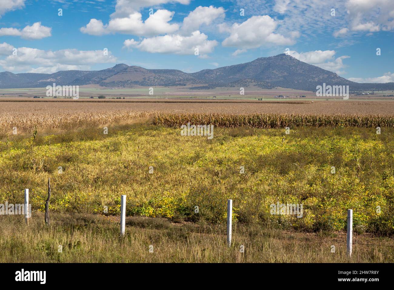 Farmland Seen from El Chepe Train between Chihuahua and La Junta, Chihuahua State, Mexico. Stock Photo