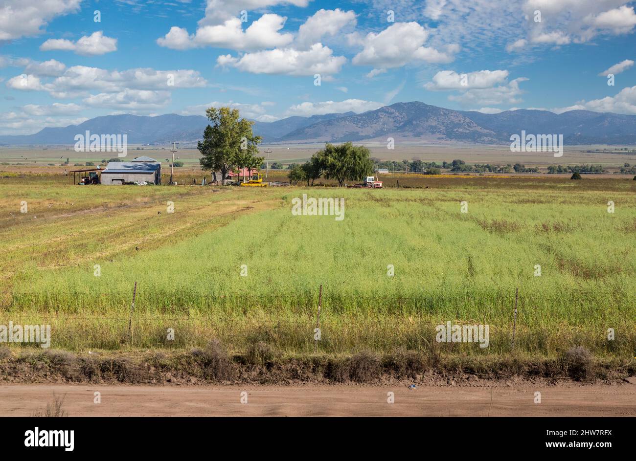 Farmland Seen from El Chepe Train between La Junta and Creel, Chihuahua State, Mexico. Stock Photo