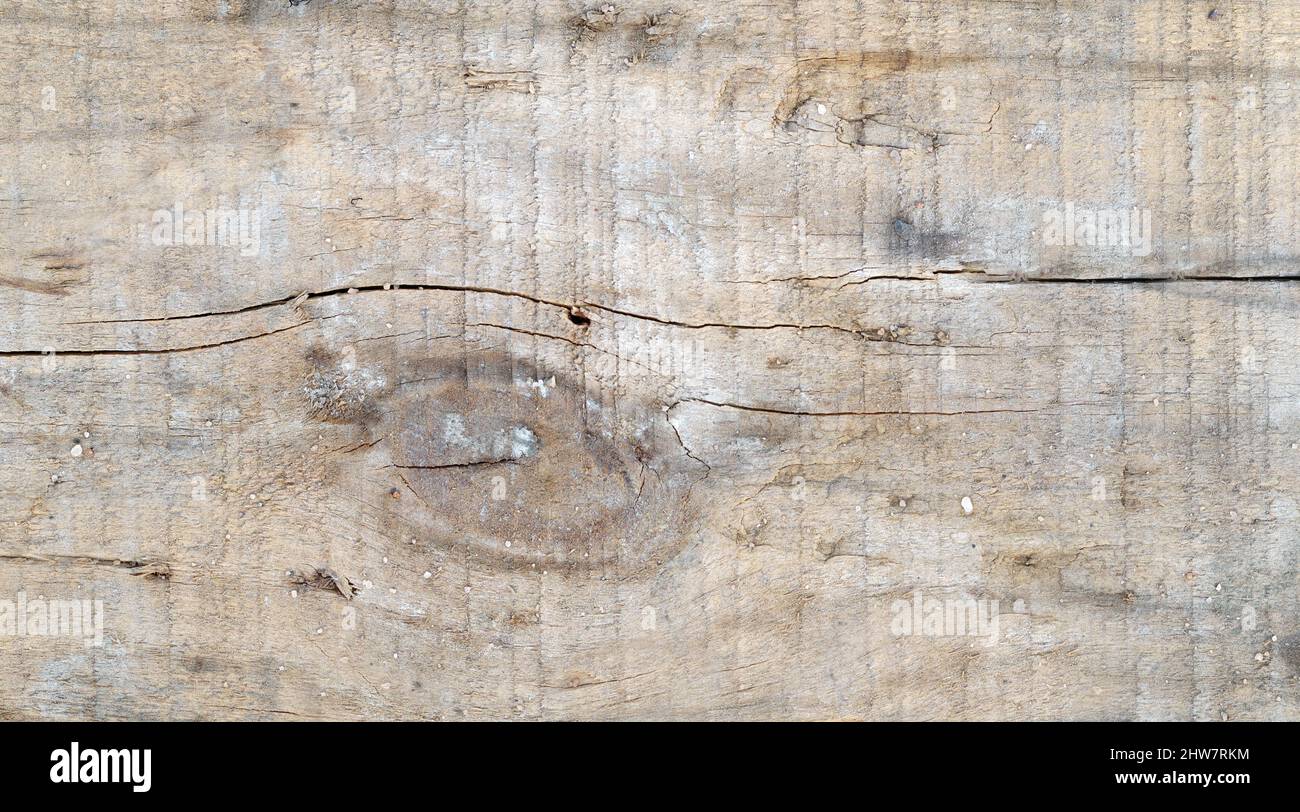 Wood texture. Abstract background, empty template Stock Photo