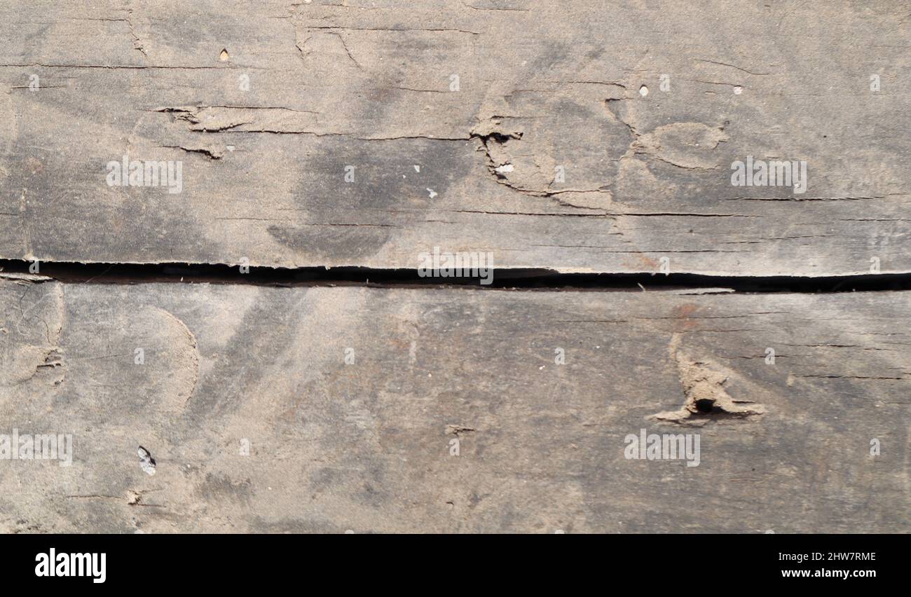 wood texture. Abstract background, empty template Stock Photo