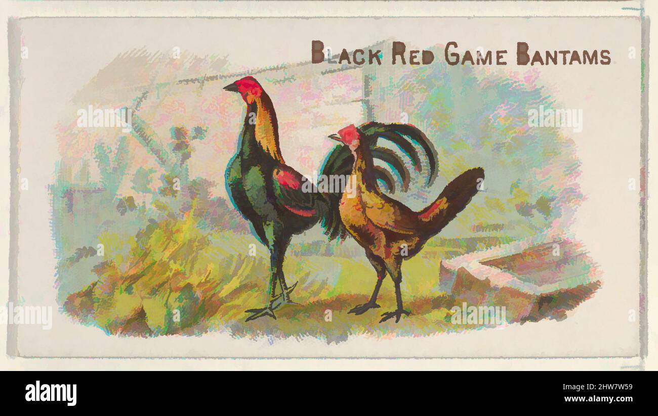 Game bantams hi-res stock photography and images - Alamy