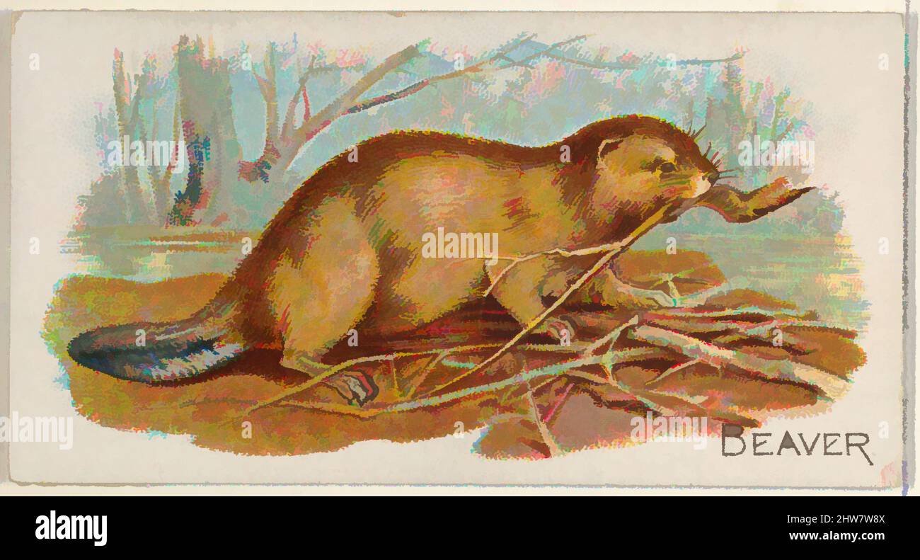 Art inspired by Beaver, from the Quadrupeds series (N21) for Allen & Ginter Cigarettes, 1890, Commercial color lithograph, Sheet: 1 1/2 x 2 3/4 in. (3.8 x 7 cm), Trade cards from the 'Quadrupeds' series (N21), issued in 1890 in a set of 50 cards to promote Allen & Ginter brand, Classic works modernized by Artotop with a splash of modernity. Shapes, color and value, eye-catching visual impact on art. Emotions through freedom of artworks in a contemporary way. A timeless message pursuing a wildly creative new direction. Artists turning to the digital medium and creating the Artotop NFT Stock Photo