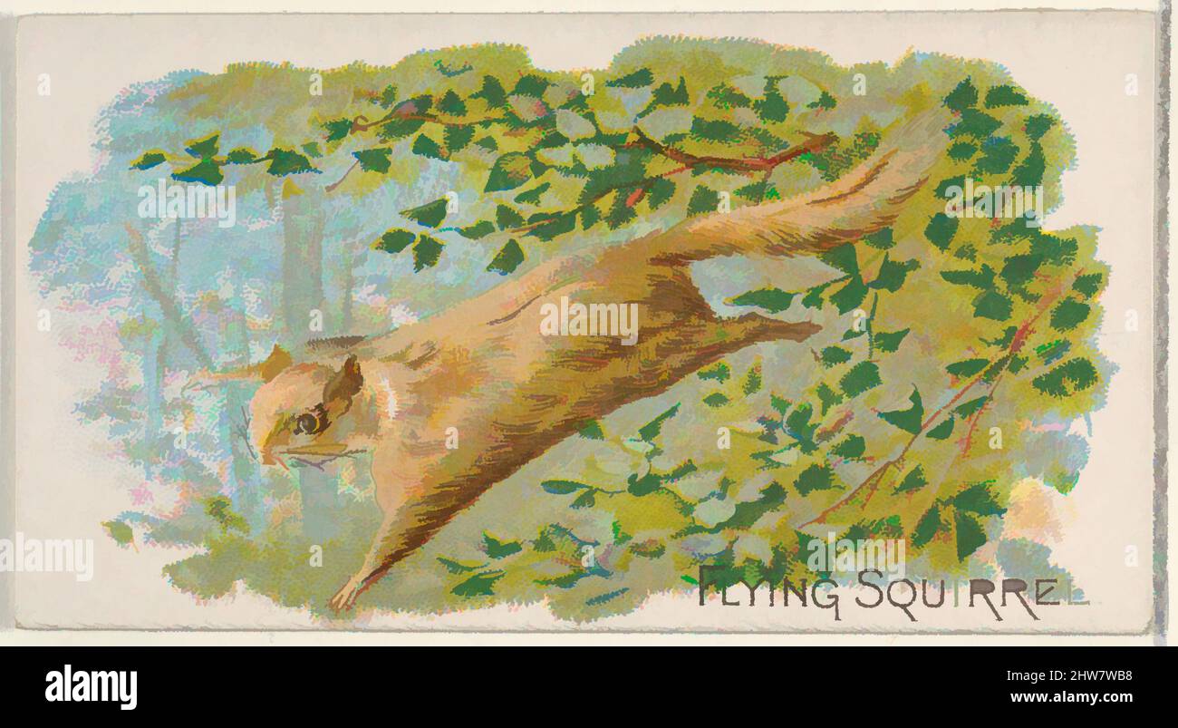 Art inspired by Flying Squirrel, from the Quadrupeds series (N21) for Allen & Ginter Cigarettes, 1890, Commercial color lithograph, Sheet: 1 1/2 x 2 3/4 in. (3.8 x 7 cm), Trade cards from the 'Quadrupeds' series (N21), issued in 1890 in a set of 50 cards to promote Allen & Ginter brand, Classic works modernized by Artotop with a splash of modernity. Shapes, color and value, eye-catching visual impact on art. Emotions through freedom of artworks in a contemporary way. A timeless message pursuing a wildly creative new direction. Artists turning to the digital medium and creating the Artotop NFT Stock Photo