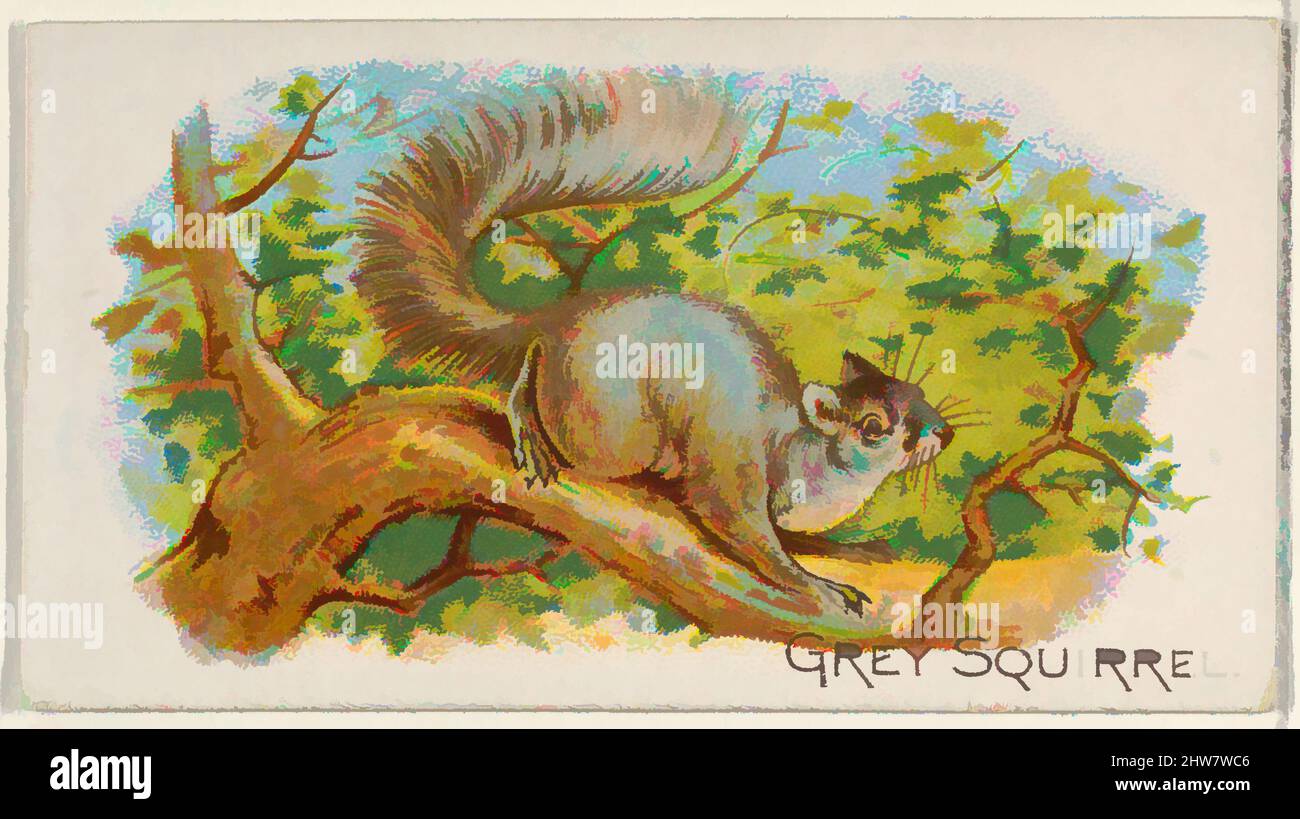 Art inspired by Grey Squirrel, from the Quadrupeds series (N21) for Allen & Ginter Cigarettes, 1890, Commercial color lithograph, Sheet: 1 1/2 x 2 3/4 in. (3.8 x 7 cm), Trade cards from the 'Quadrupeds' series (N21), issued in 1890 in a set of 50 cards to promote Allen & Ginter brand, Classic works modernized by Artotop with a splash of modernity. Shapes, color and value, eye-catching visual impact on art. Emotions through freedom of artworks in a contemporary way. A timeless message pursuing a wildly creative new direction. Artists turning to the digital medium and creating the Artotop NFT Stock Photo