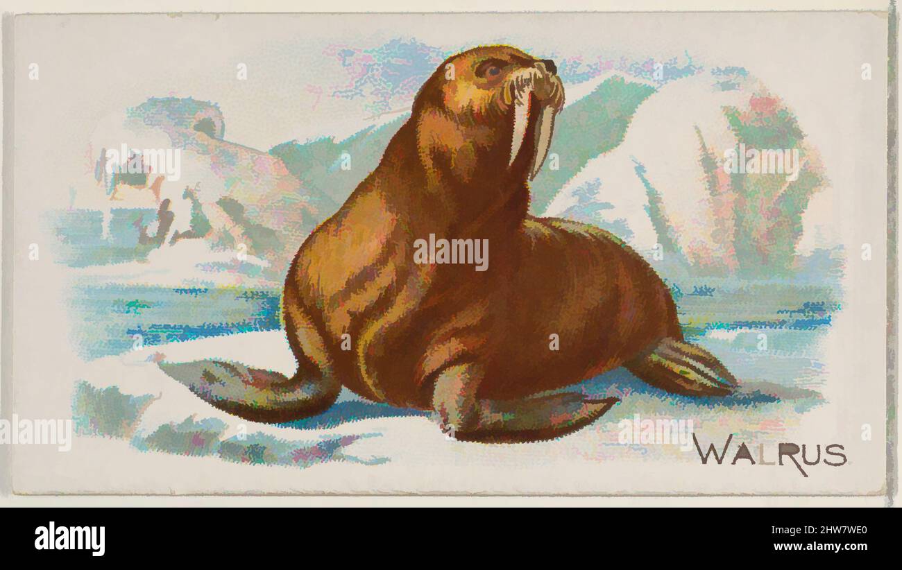 Art inspired by Walrus, from the Quadrupeds series (N21) for Allen & Ginter Cigarettes, 1890, Commercial color lithograph, Sheet: 1 1/2 x 2 3/4 in. (3.8 x 7 cm), Trade cards from the 'Quadrupeds' series (N21), issued in 1890 in a set of 50 cards to promote Allen & Ginter brand, Classic works modernized by Artotop with a splash of modernity. Shapes, color and value, eye-catching visual impact on art. Emotions through freedom of artworks in a contemporary way. A timeless message pursuing a wildly creative new direction. Artists turning to the digital medium and creating the Artotop NFT Stock Photo