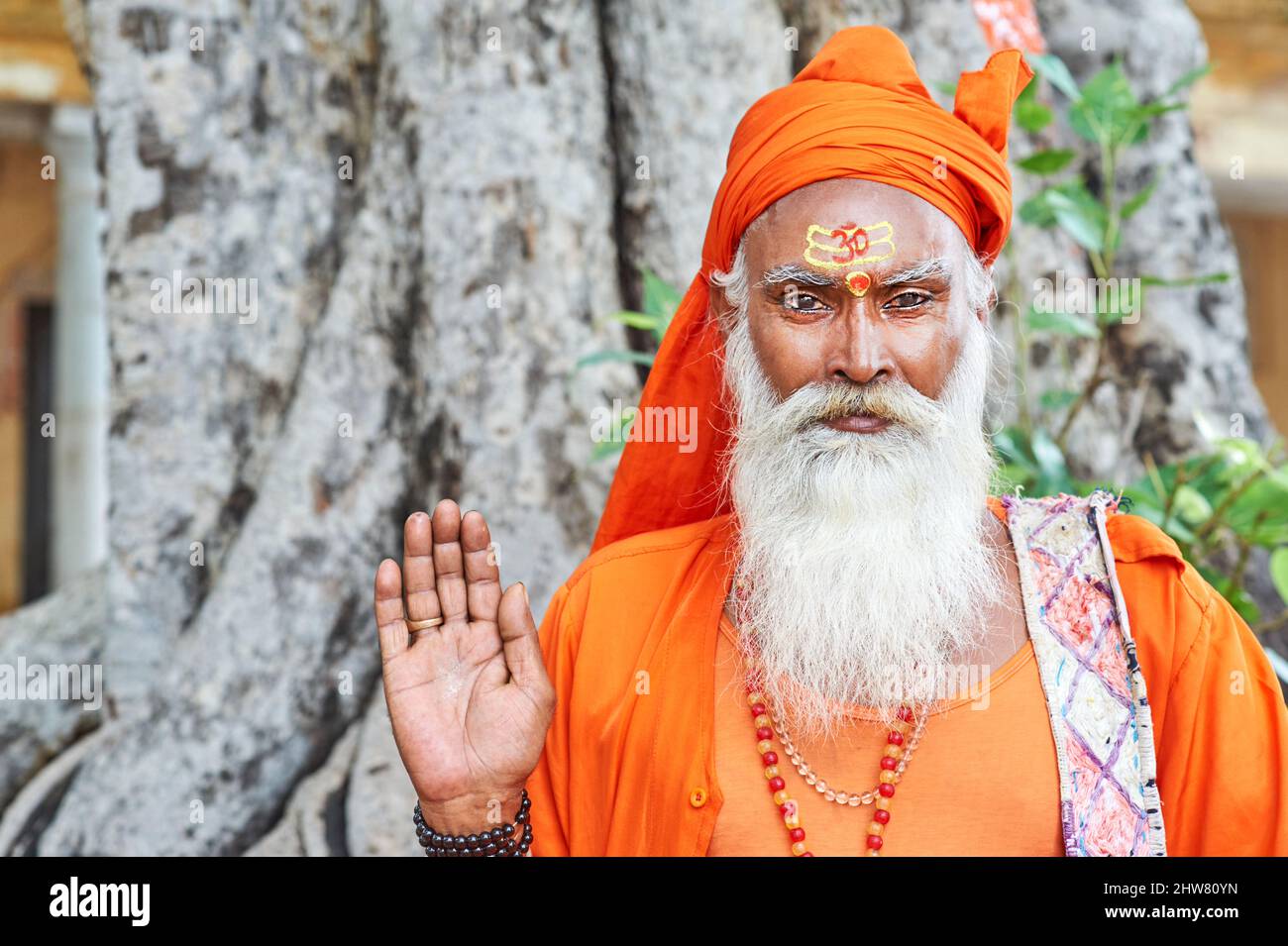 India Rajasthan Jaipur. A holy man (sadhu) Stock Photo
