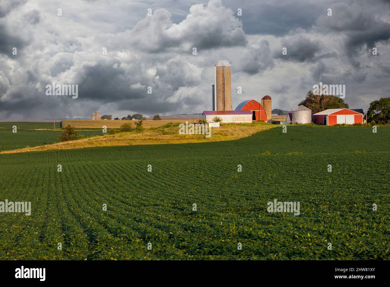Scenic corn fields hires stock photography and images Alamy