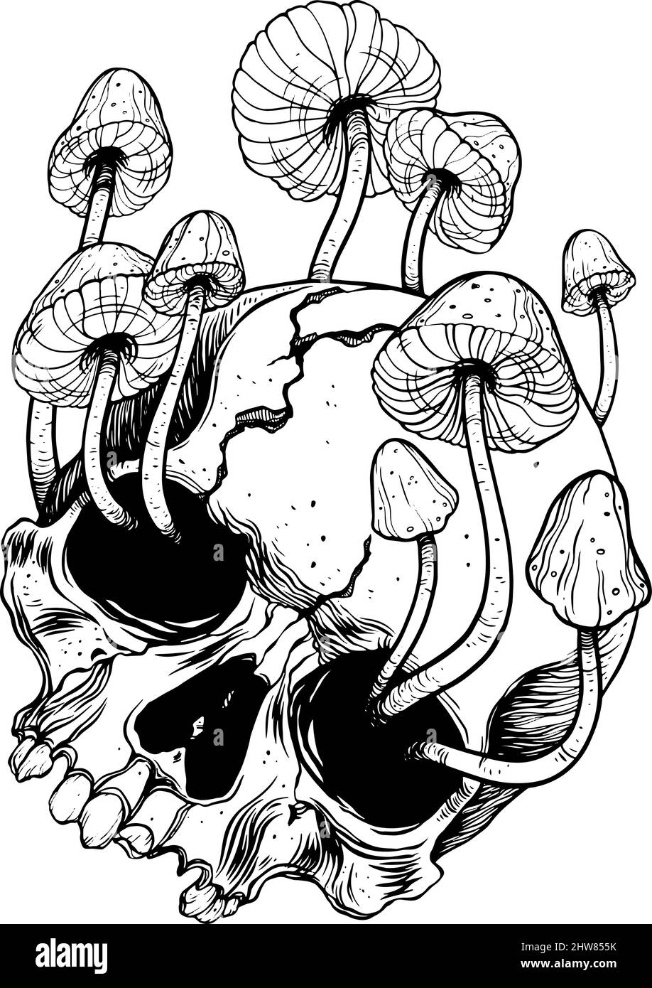 Overgrown skull. Mushrooms. Death - Life graphic illustration Stock Vector
