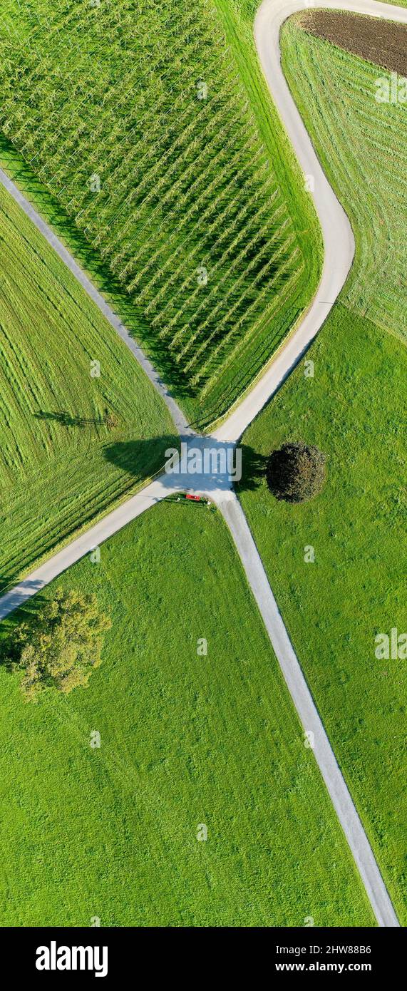 At the crossroads. Vertical panorama. Road, field, tree. Aerial view. Stock Photo