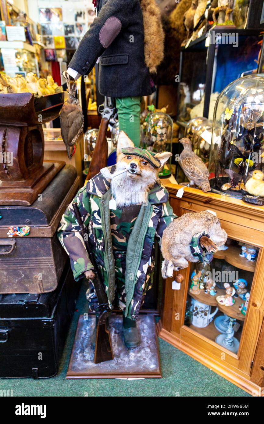 Kings lynn antiques hires stock photography and images Alamy