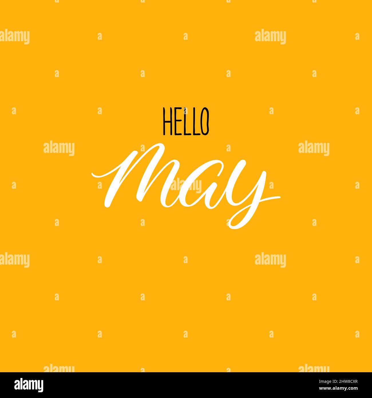 Hello may calligraphy. Spring greeting card. Handdrawn illustration
