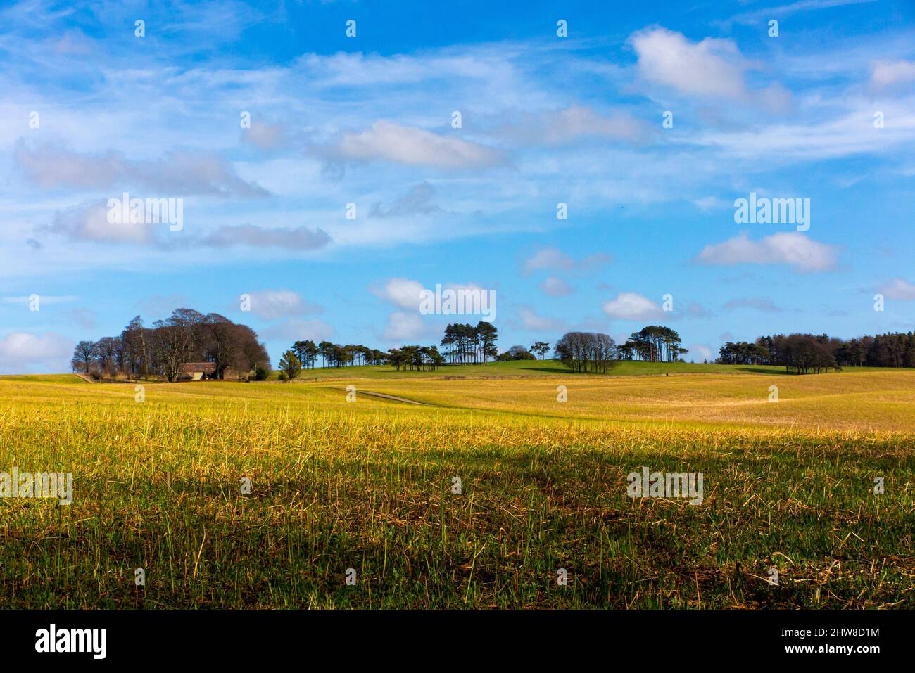 Spring sunshine in a typical Cotswolds landscape at Bredon Hill near ...
