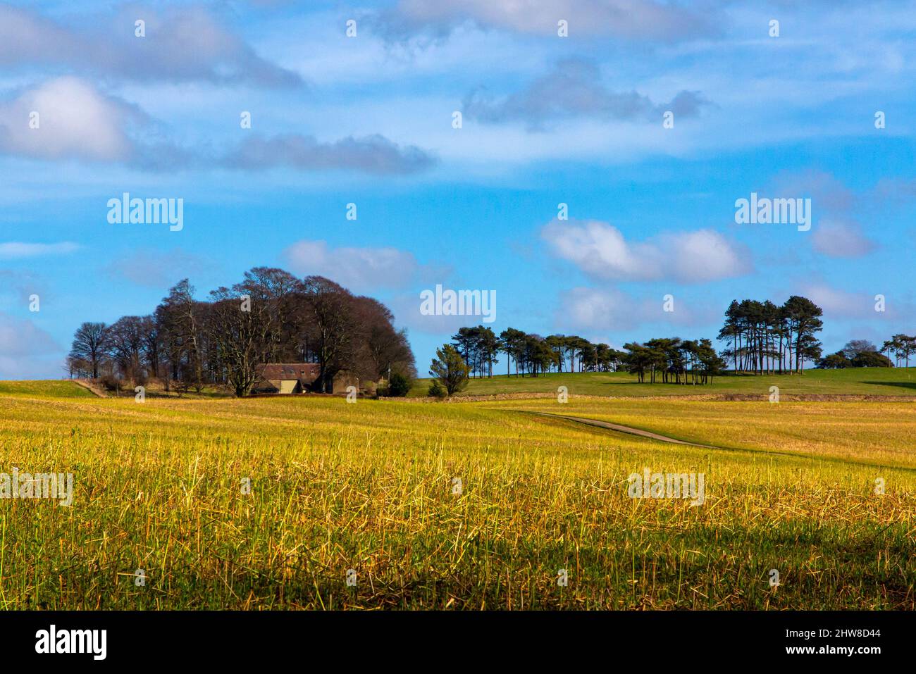 Spring sunshine in a typical Cotswolds landscape at Bredon Hill near Tewkesbury in the Gloucestershire England UK Stock Photo