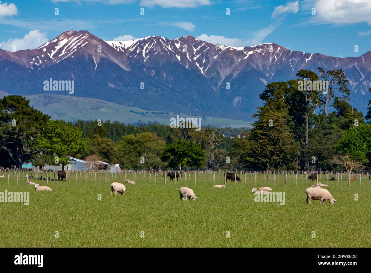 Farmland and Ruahine Mountains south of Napier, from Highway 2, north island, New Zealand. Stock Photo