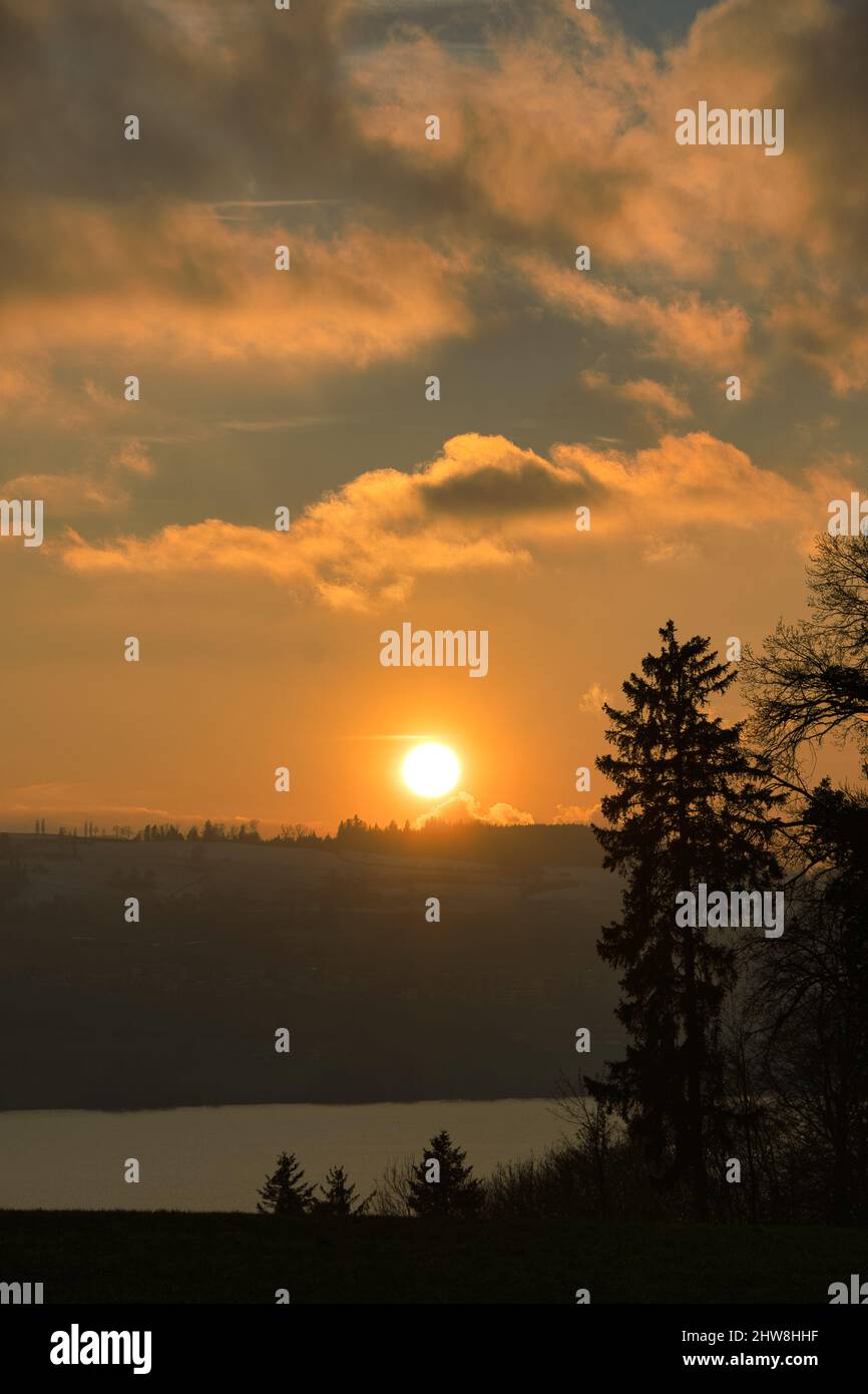 Beautiful shot tree cloudy sky hi-res stock photography and images - Alamy