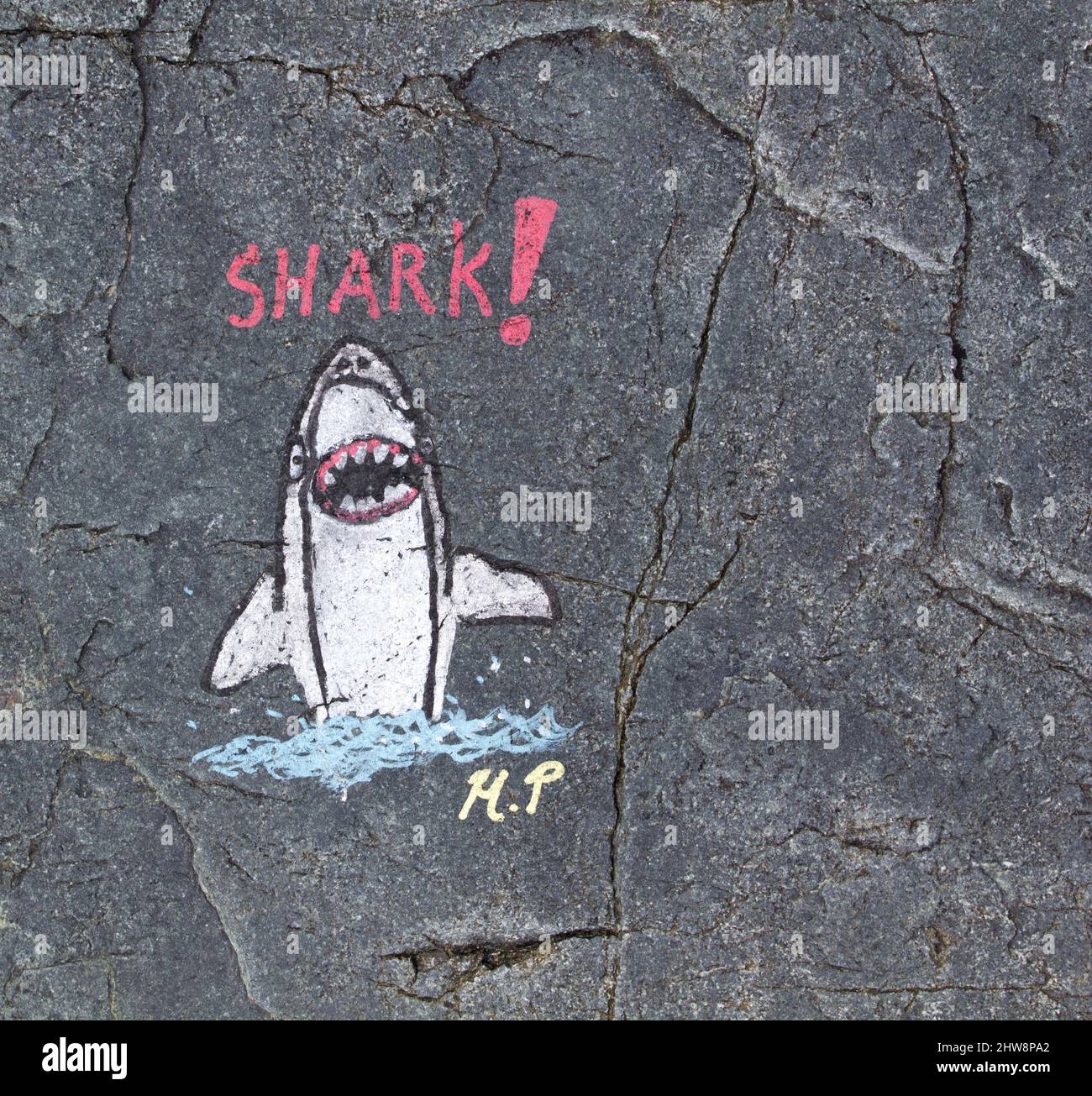 Chalk drawing of cartoon shark on a rock on Coverack beach, Cornwall