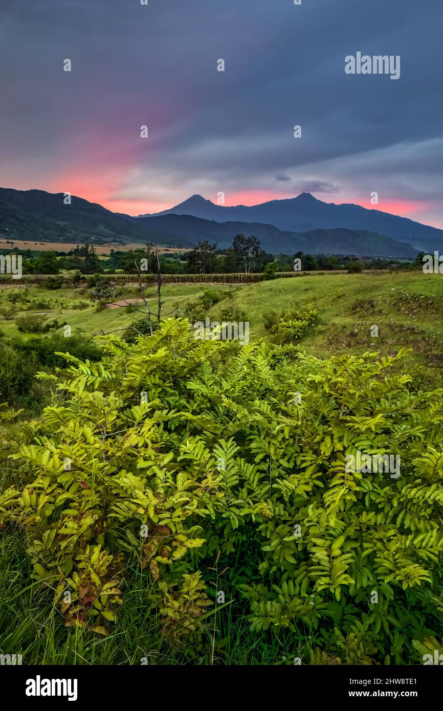 View from the field of the Colima volcano with a beautiful orange ...