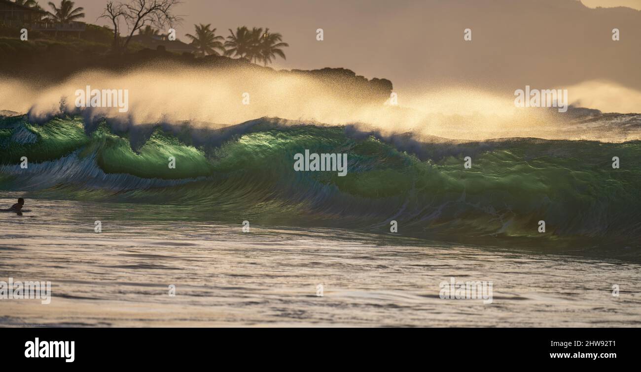 Big waves with white mist and sunset on the back Stock Photo