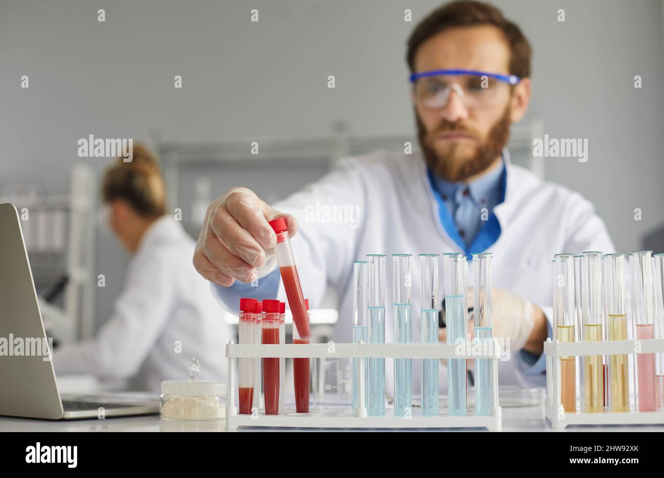 Preparation of blood samples in test tubes for medical examination in a