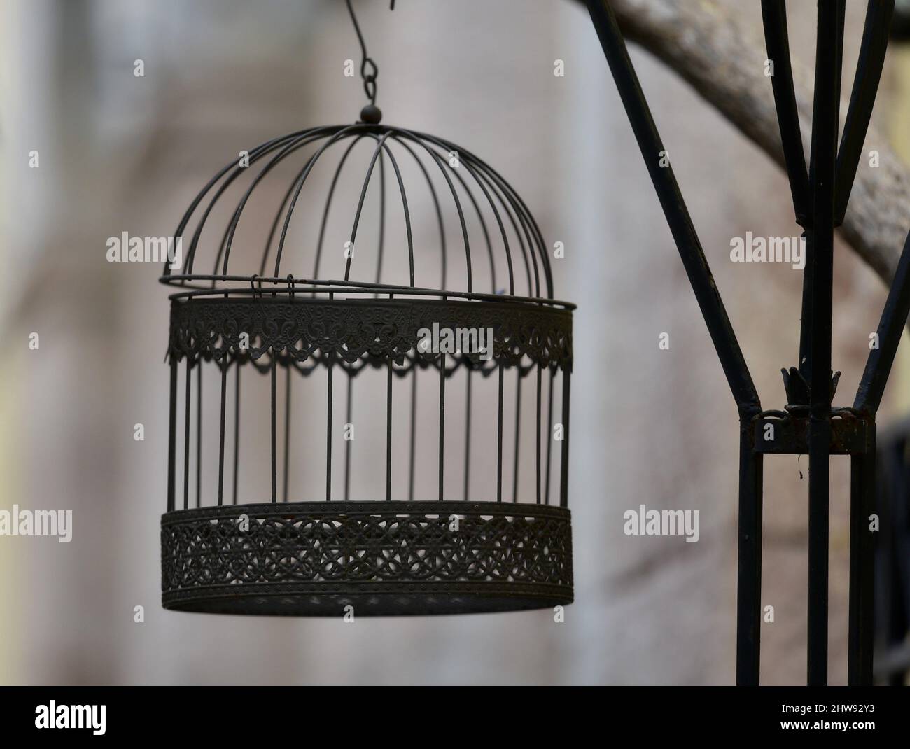 Gallery image with a fresh perspective