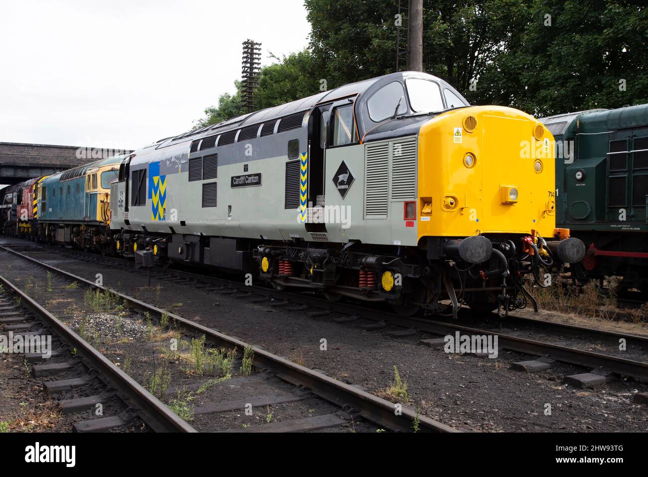 British Rail Class 37 diesel-electric locomotive 37714 'Cardiff Canton' repainted in a new livery in the sidings at Loughborough Great Central Railway Stock Photo