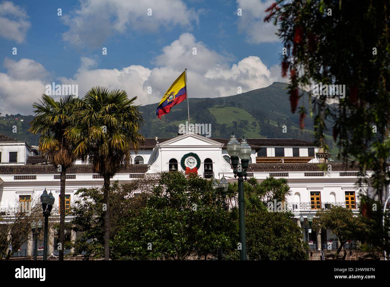 Ecuador quito palm hires stock photography and images Alamy