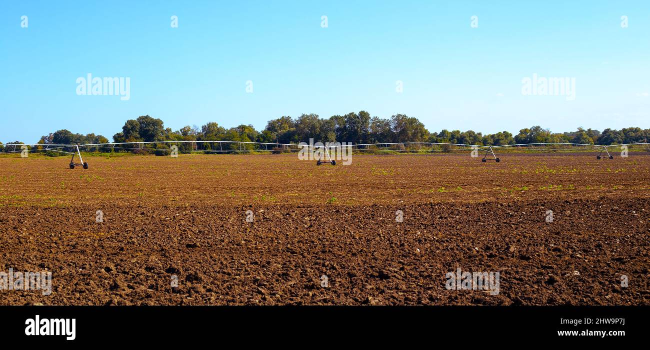 sprinkler irrigation system on the field. Cultivation of agricultural