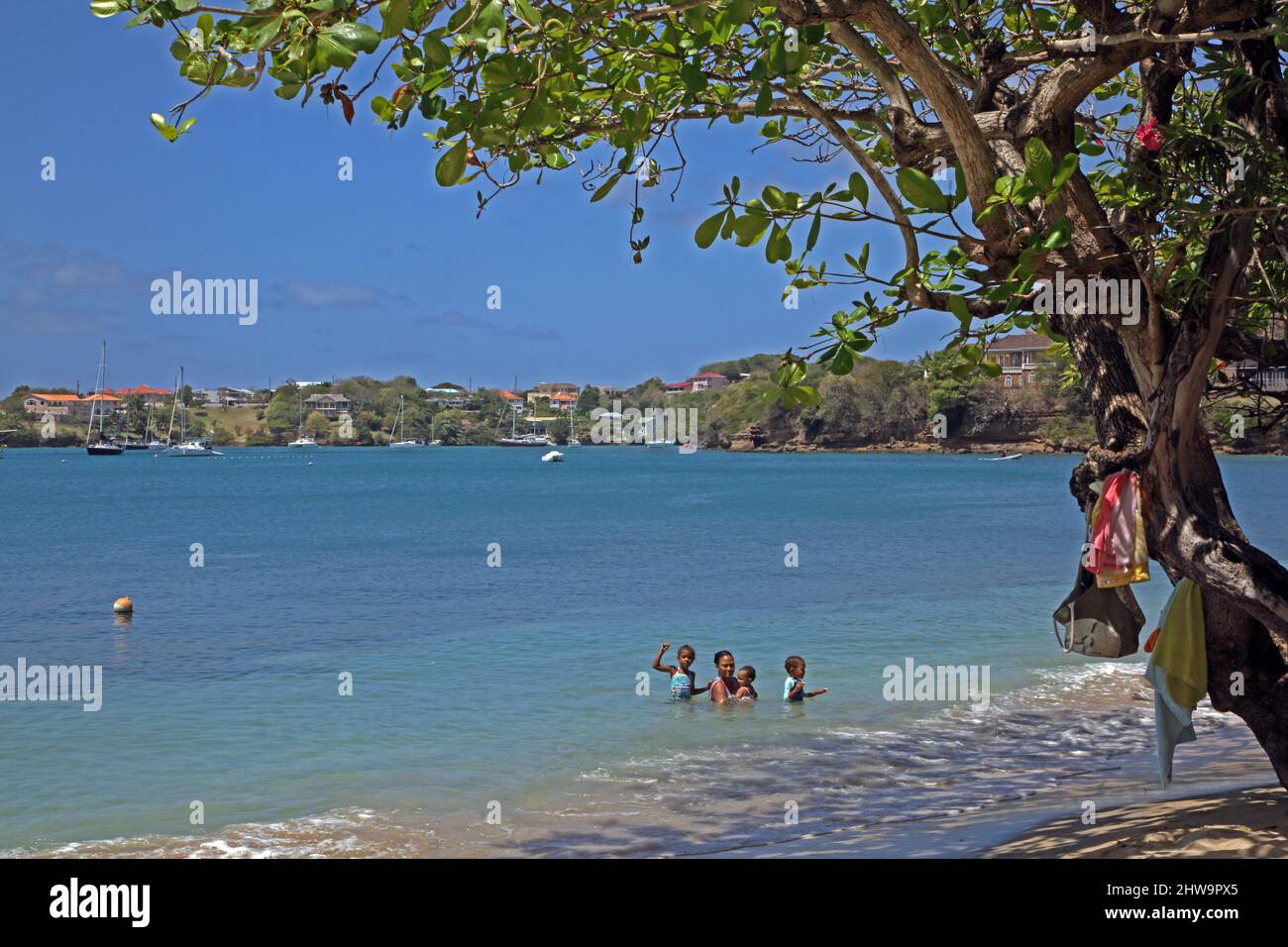 Prickly Bay Grenada L'anse Aux Epines Beach Local Family Swimming in