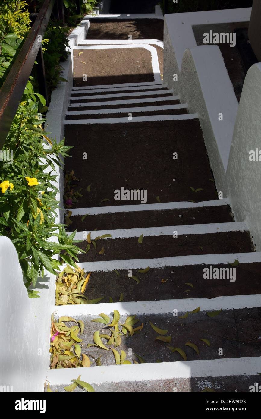 Grand Anse Beach Grenada Mount Cinnamon Hotel Stairway to Villas Stock