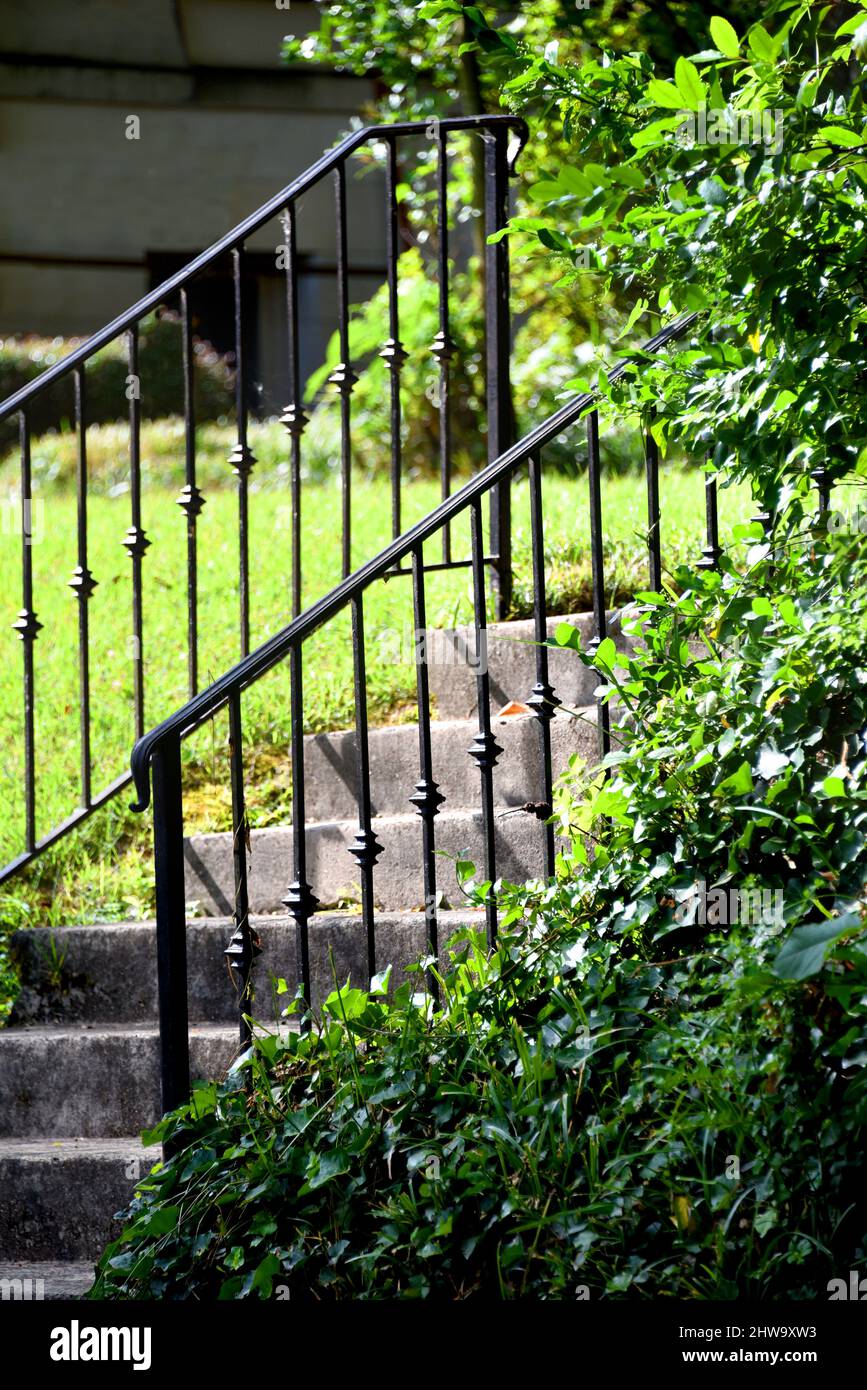 Black wought iron railing borders concrete steps. Green ivy and bushes