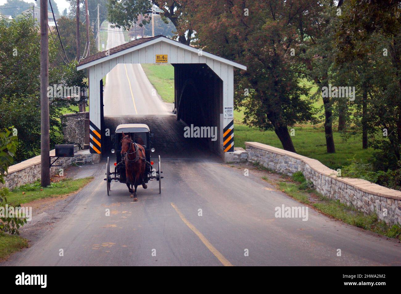An Amish horse and buggy emerge from a covered bridge Stock Photo