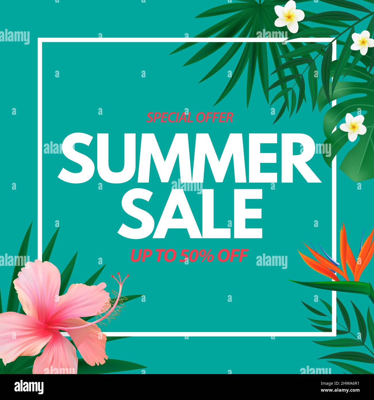 Summer sale poster. Natural Background with Tropical Palm and Monstera ...
