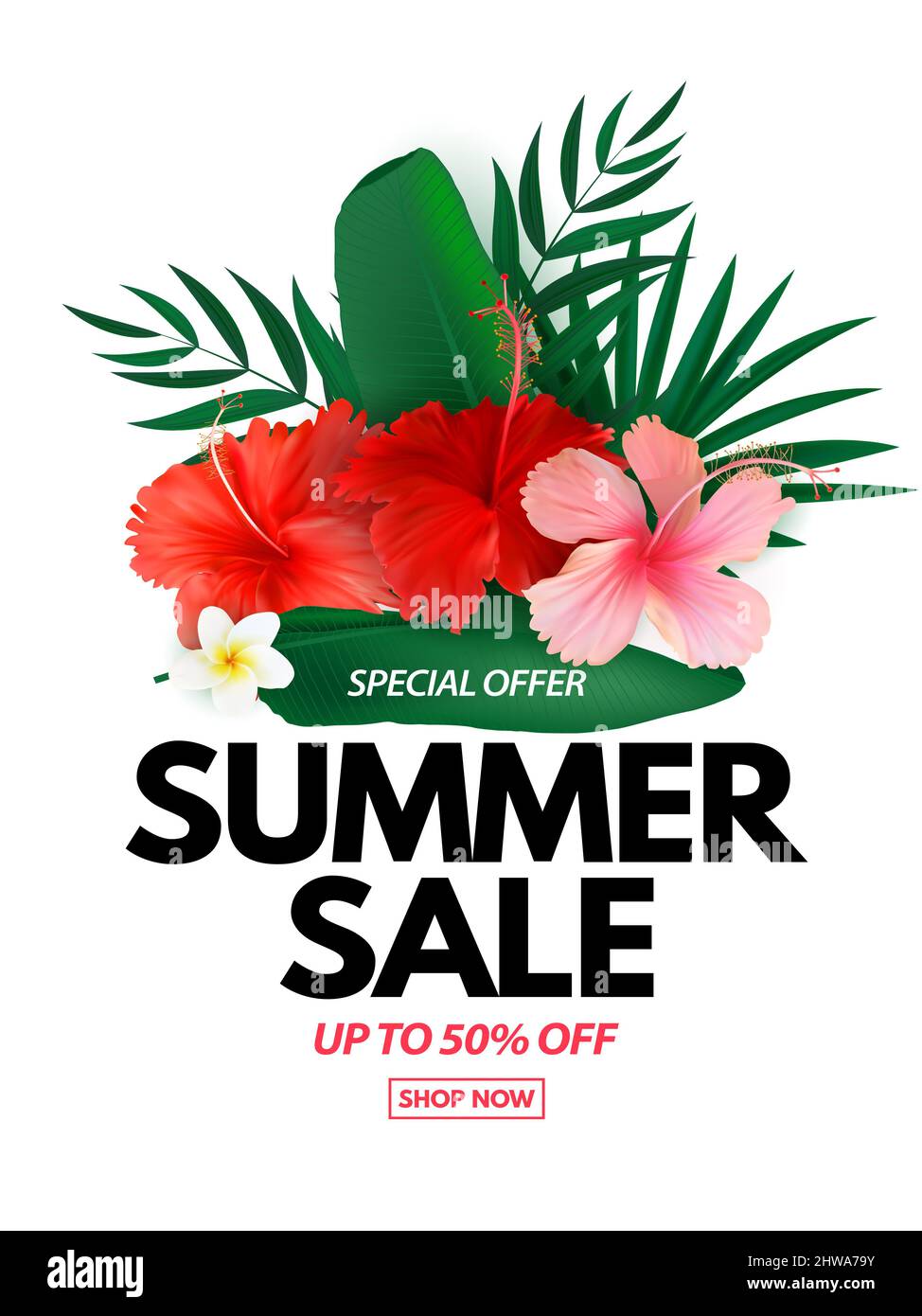 Summer sale poster. Natural Background with Tropical Palm and Monstera ...
