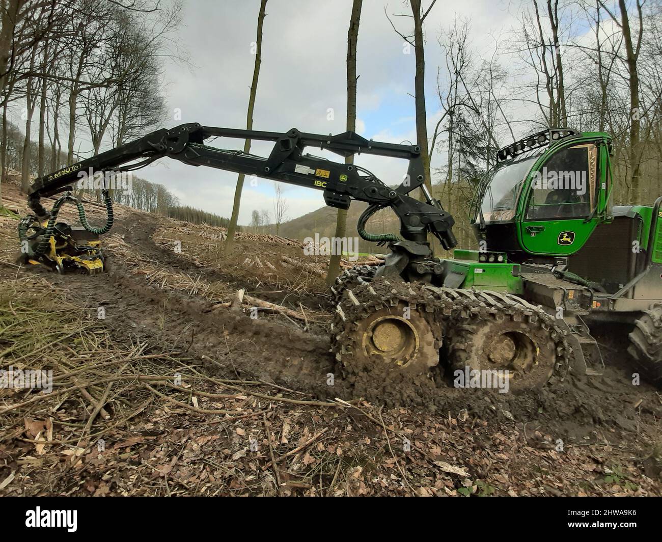 Harvester in forest, Germany Stock Photo