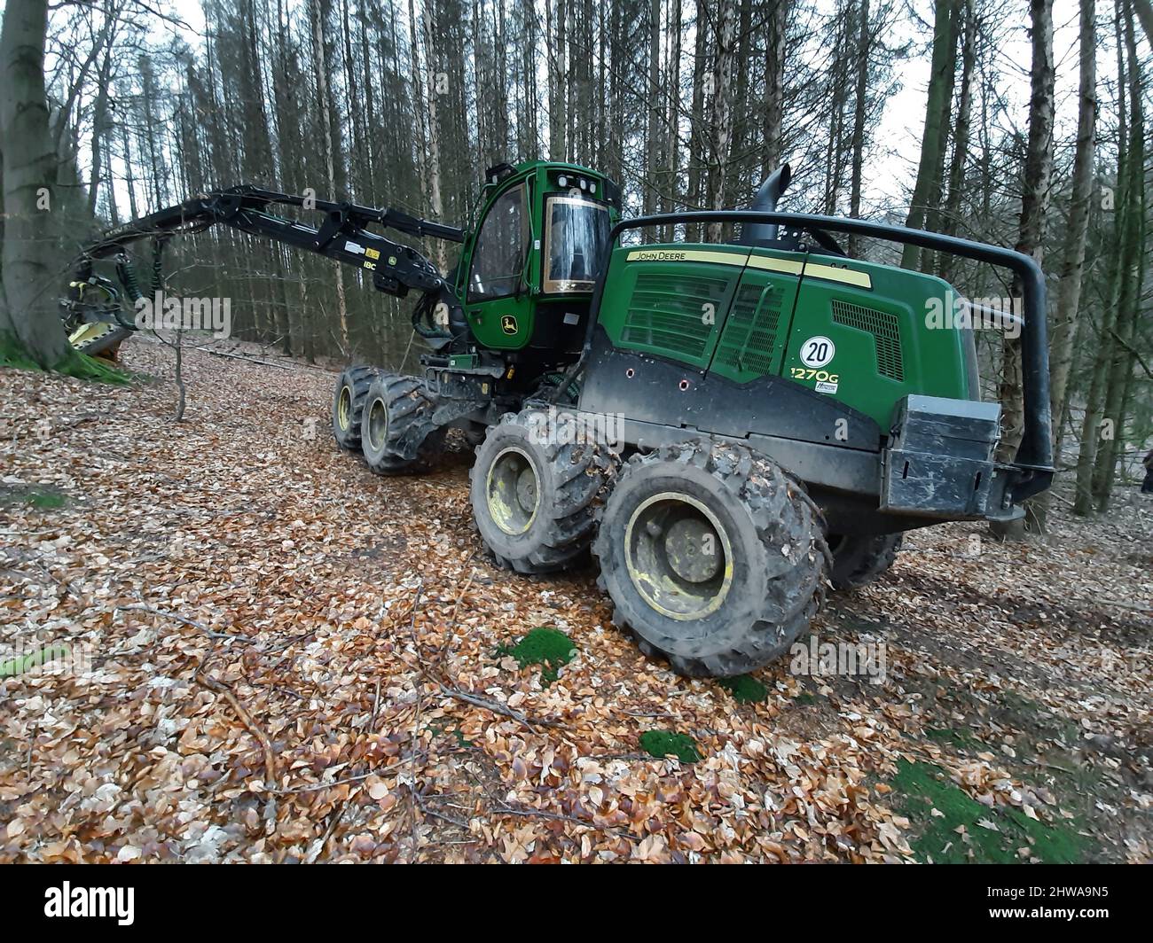 Harvester in forest, Germany Stock Photo